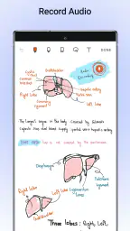 Noteshelf - Notes, Annotations 4