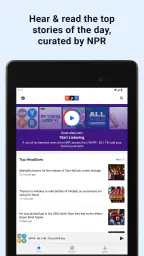 NPR 8