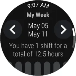 NurseGrid: Nursing Calendar 6