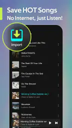 Offline Music Player- Weezer 2