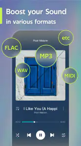 Offline Music Player- Weezer screenshot