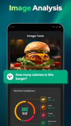 Open Chat - AI bot app 5