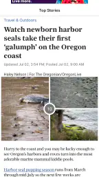 OregonLive.com 2