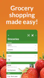 Our Groceries Shopping List 1