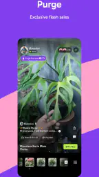 Palmstreet - Live shopping 4