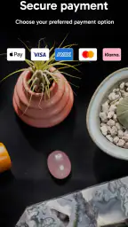 Palmstreet - Live shopping 5