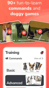 PawChamp - Dog Training & Care screenshot