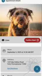 PetPage 5