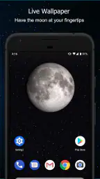 Phases of the Moon 4