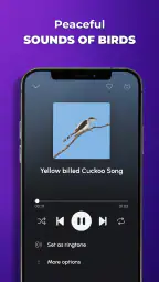 Phone Ringtones 7
