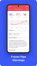 Phyn 6