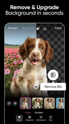 Picsart AI Photo Editor, Video 3
