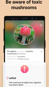 Picture Mushroom - Mushroom ID screenshot