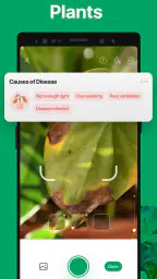 PictureThis - Plant Identifier 4