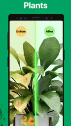 PictureThis - Plant Identifier 7