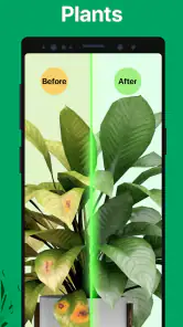 PictureThis - Plant Identifier screenshot