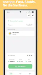 Ping VPN 1