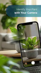 Plant Care - AI Identifier 1
