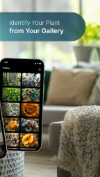 Plant Care - AI Identifier 2