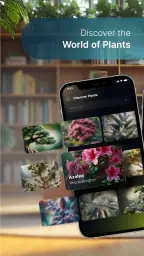 Plant Care - AI Identifier 3