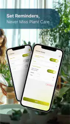 Plant Care - AI Identifier 8