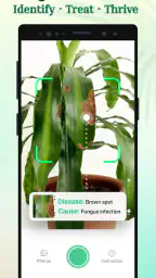 Plant Parent: Plant Care Guide 1