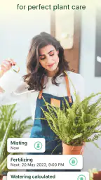 Plant Parent: Plant Care Guide 3