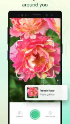 Plant Parent: Plant Care Guide 4