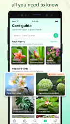 Plant Parent: Plant Care Guide 6