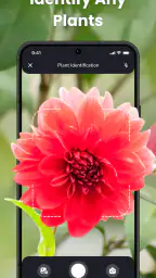 PlantIn Plant Identifier, Care 1
