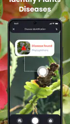 PlantIn Plant Identifier, Care 3