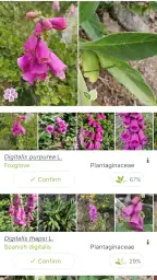 PlantNet Plant Identification 2