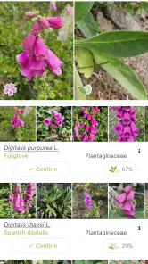 PlantNet Plant Identification screenshot