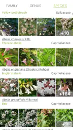 PlantNet Plant Identification 3