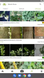 PlantNet Plant Identification 7