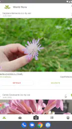 PlantNet Plant Identification 8