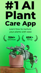 PlantSnap: plant identifier 1