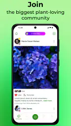 PlantSnap: plant identifier 5