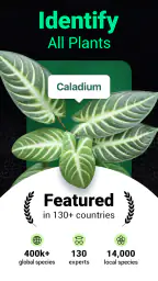 Plantum - Plant Identifier 1