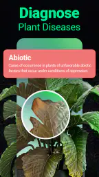 Plantum - Plant Identifier 2