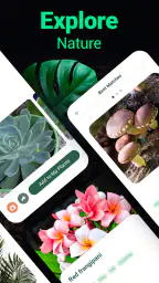 Plantum - Plant Identifier 4