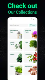 Plantum - Plant Identifier 6