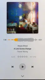Plexamp 5