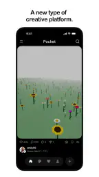 Pocket 1
