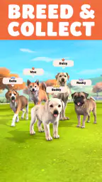 Pocket Paws: My lovely dogs 1