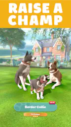 Pocket Paws: My lovely dogs 2