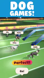 Pocket Paws: My lovely dogs 4