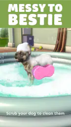 Pocket Paws: My lovely dogs 5