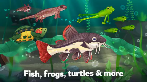 Pondlife — Fish, Frogs & More! 2