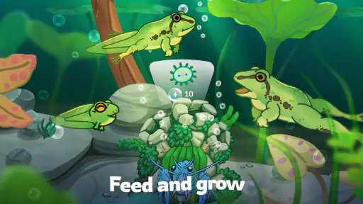 Pondlife — Fish, Frogs & More! 5